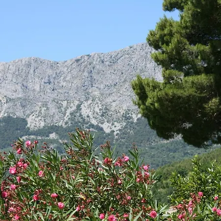 By The Sea Zaostrog, Makarska - 6799 Apartment Podaca