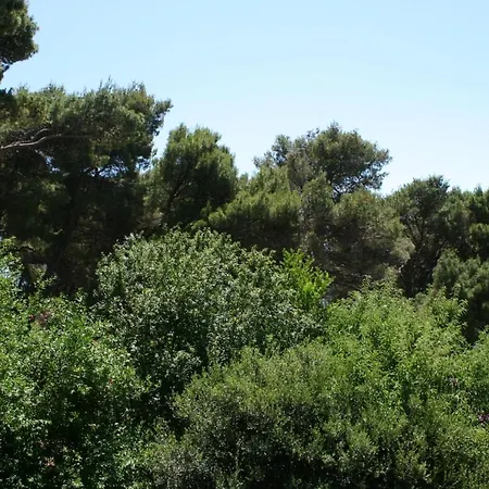 아파트 By The Sea Zaostrog, Makarska - 6799 포도카